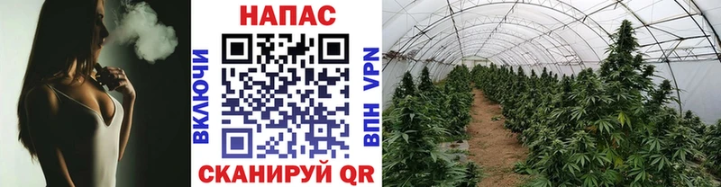 Каннабис MAZAR  Новый Оскол 